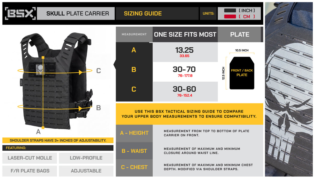 BSX Skull Plate Carrier